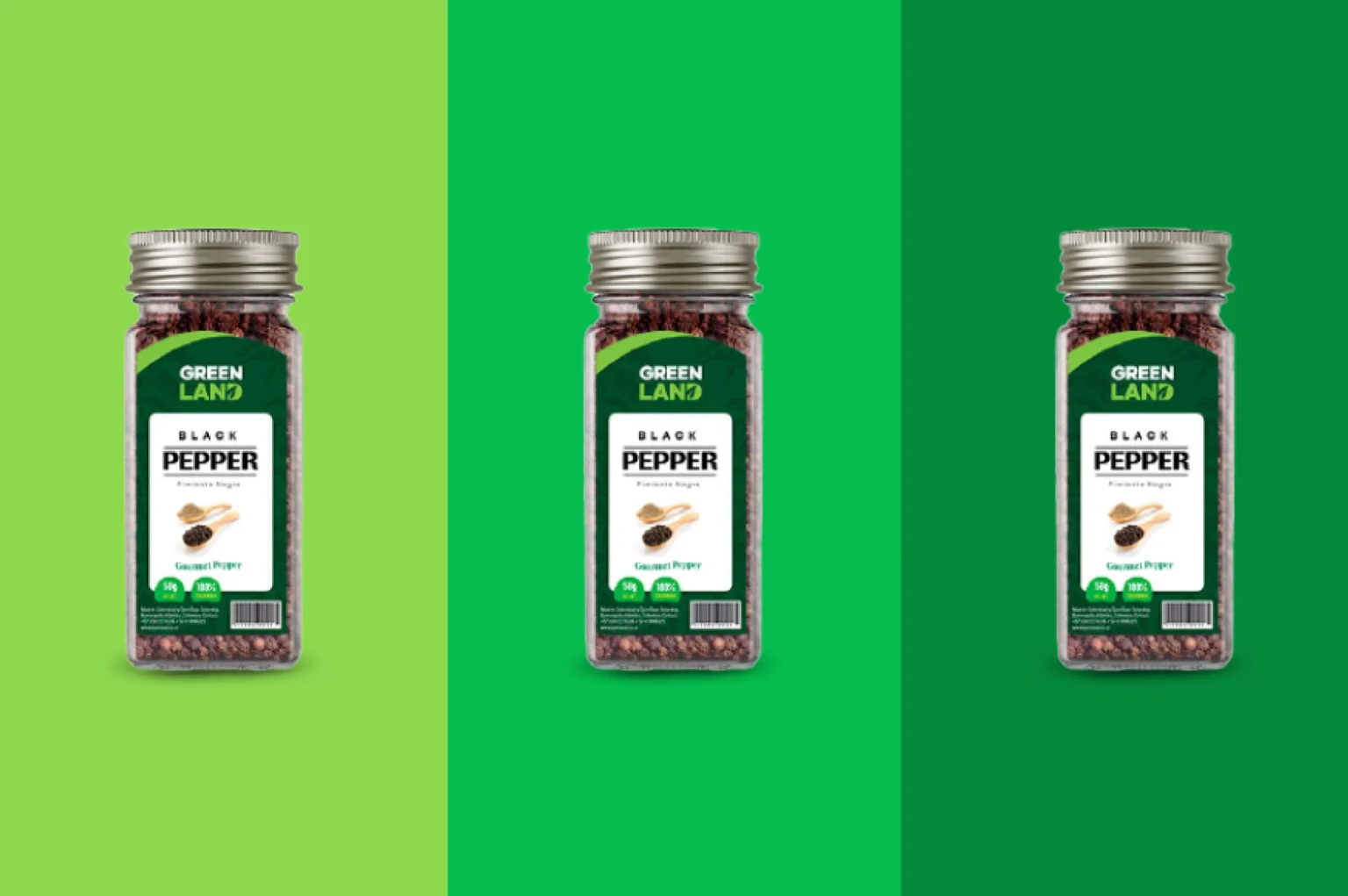 branding y diseño de empaque de marca para greenland, orlando, usa.