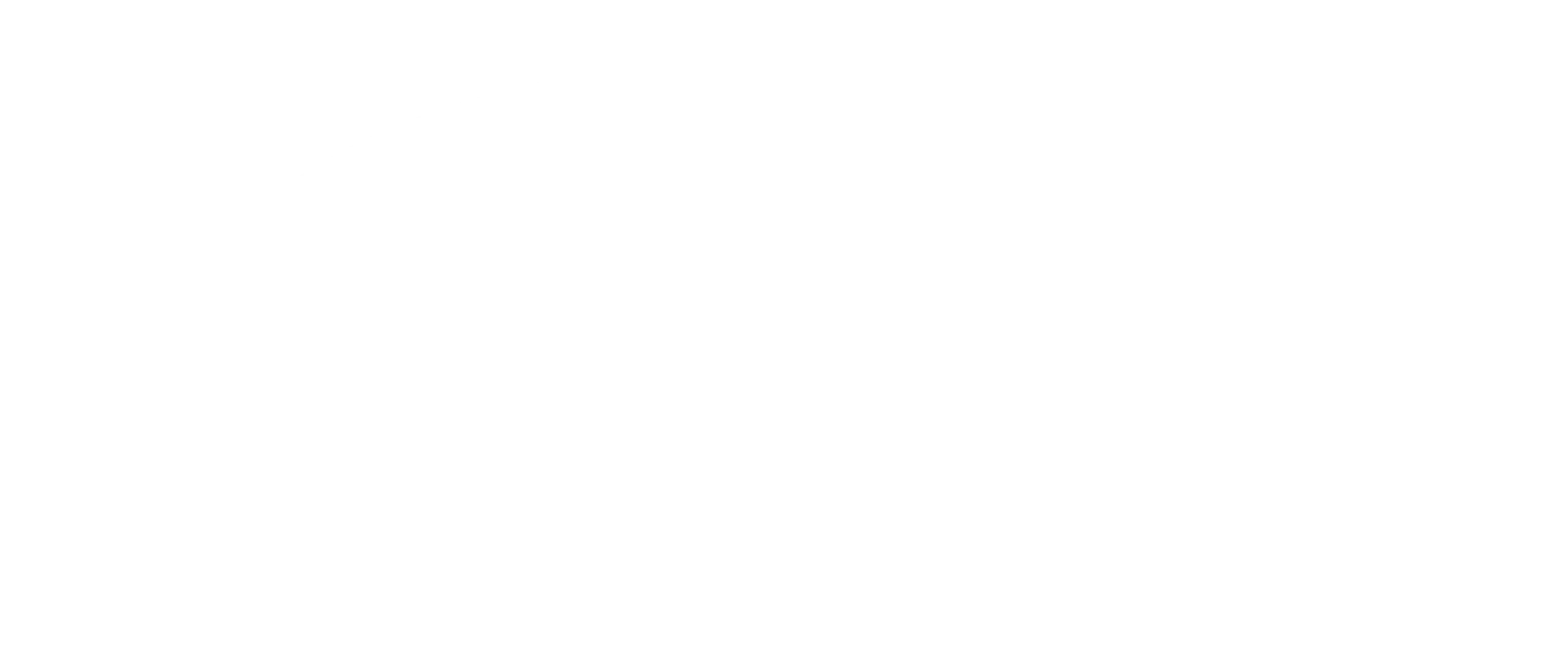 branding y diseño de marca para Diomart, en medellin, colombia